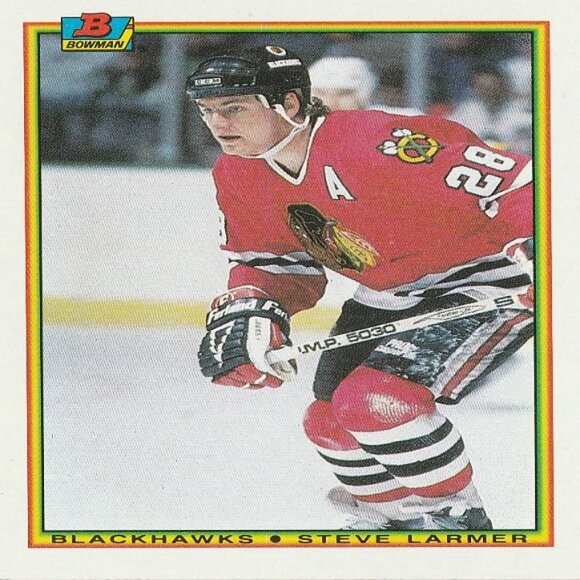 Steve Larmer Hockey Card Collection - Picture 7 of 8